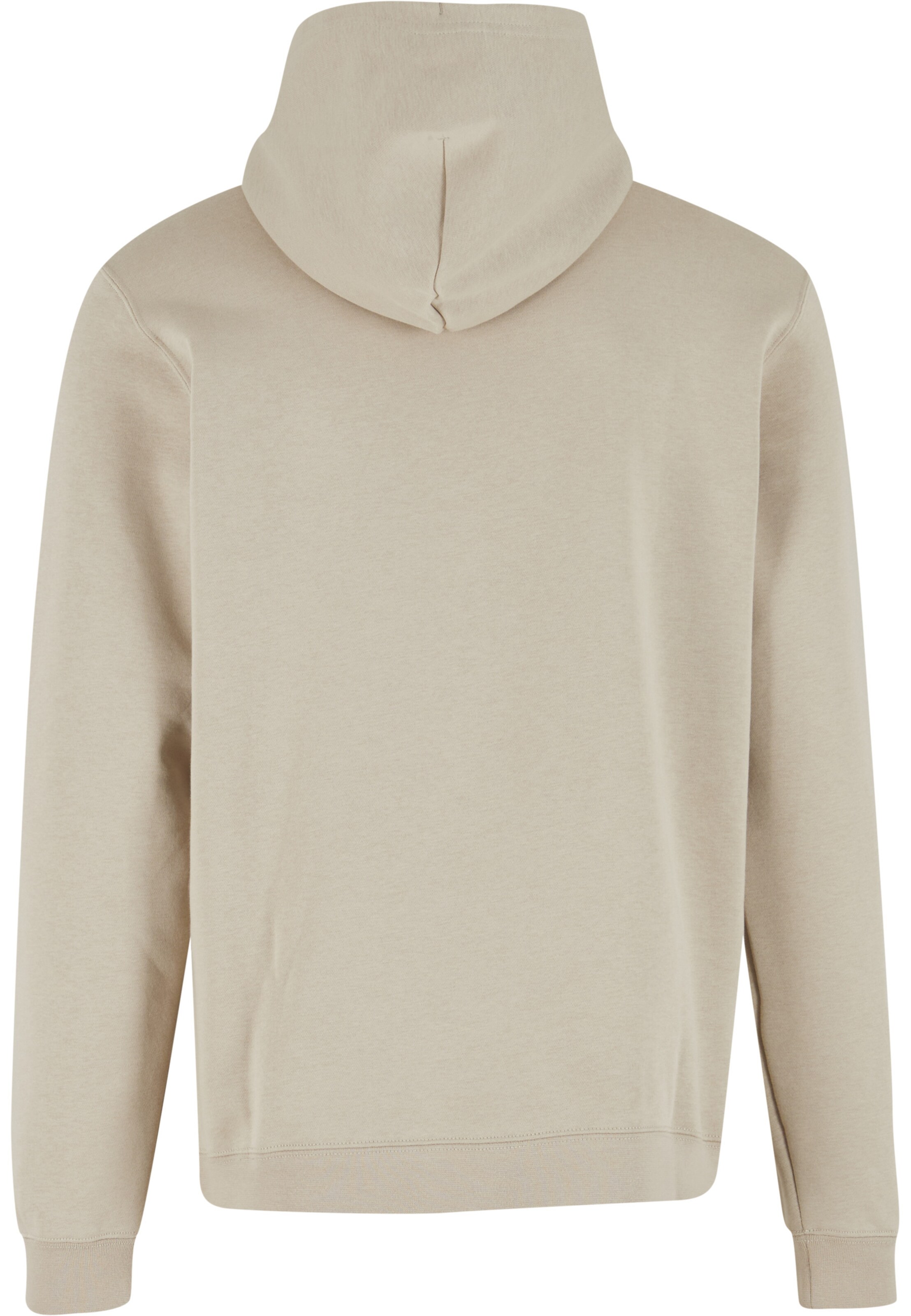 CONVERSE Sweatshirt in Grau