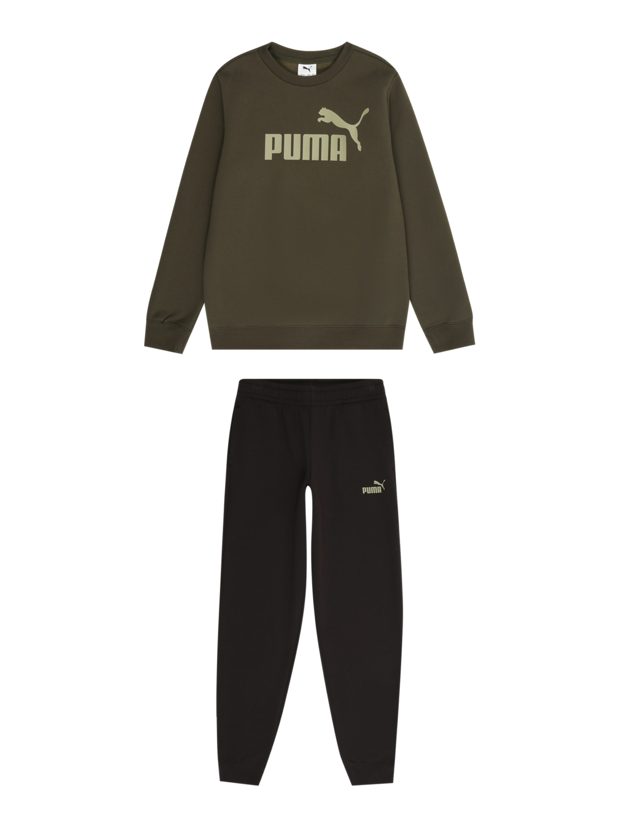 PUMA Костюм для бега 'ESS No.1' в Зеленый: спереди