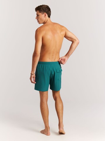 PROTEST Board Shorts 'PRTJayden' in Green