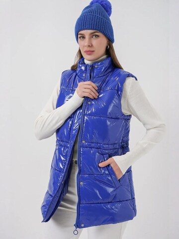 Gilet Bigdart en bleu