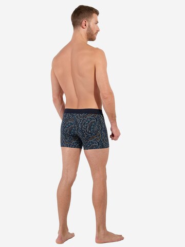 HOM Boxer shorts ' Fountainebleau Boxer Briefs ' in Blue