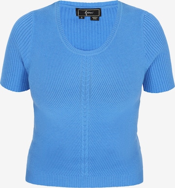 mėlyna faina Megztinis 'Fashion Look': priekis