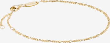 Thomas Sabo Armband 'Figaro' in Gold: Vorderseite