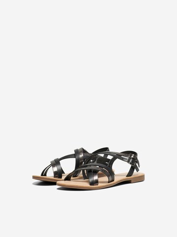 ONLY Sandalen met riem 'MANDALA-18' in Zwart