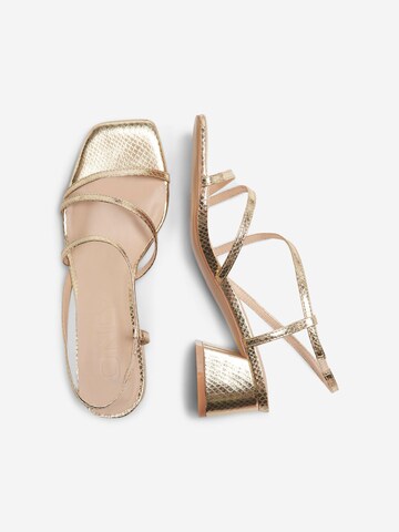 ONLY Sandalen met riem 'AYLIN' in Goud