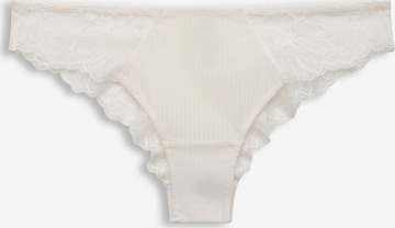 ESPRIT Panty in Pink: front