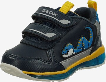 GEOX Sneaker in Blau: predná strana