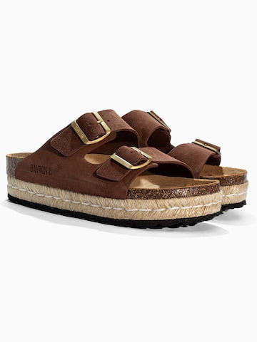 Bayton Μιούλ 'ALCEE' σε καφέ