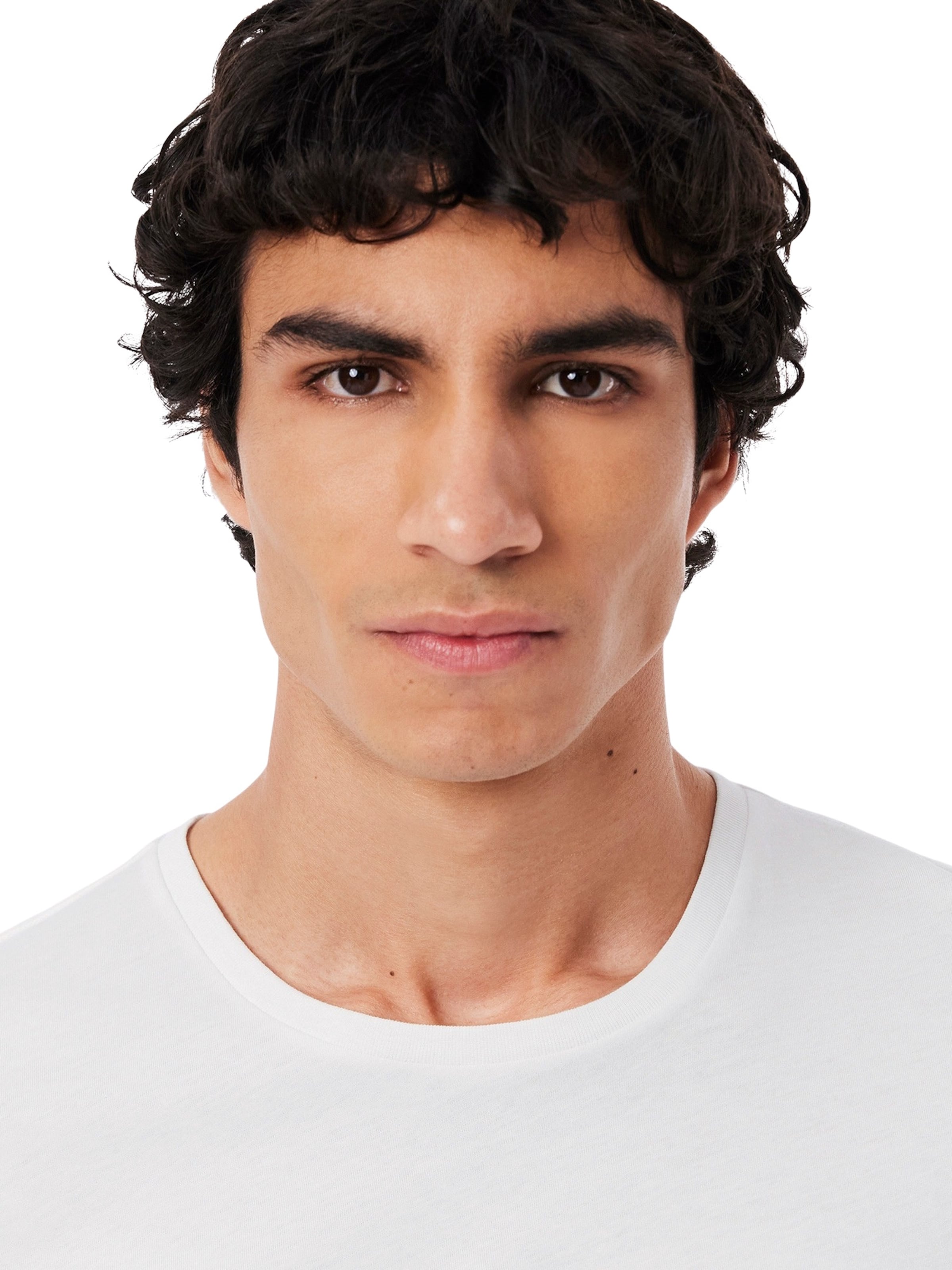 LACOSTE Shirt in Grey