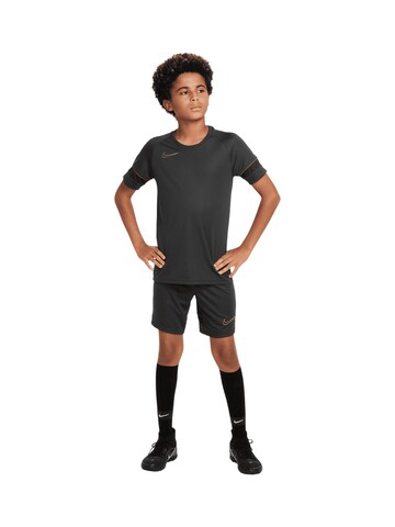 NIKE Funktionsshirt 'Academy' in Grau: Vorderseite