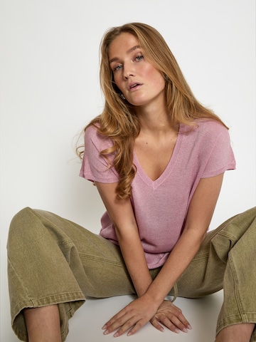 Haut 'Carlina' minus en rose