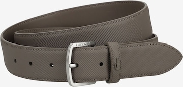 Cintura di LACOSTE in marrone: frontale