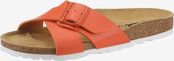 Bio Life Pantolette in Orange: predná strana