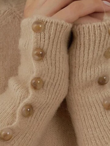 Pull-over 'Pullover' Hiccup en beige