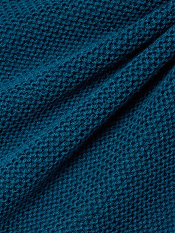Franco Callegari Trui in Blauw