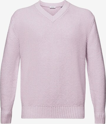 ESPRIT Pullover in Lila: predná strana