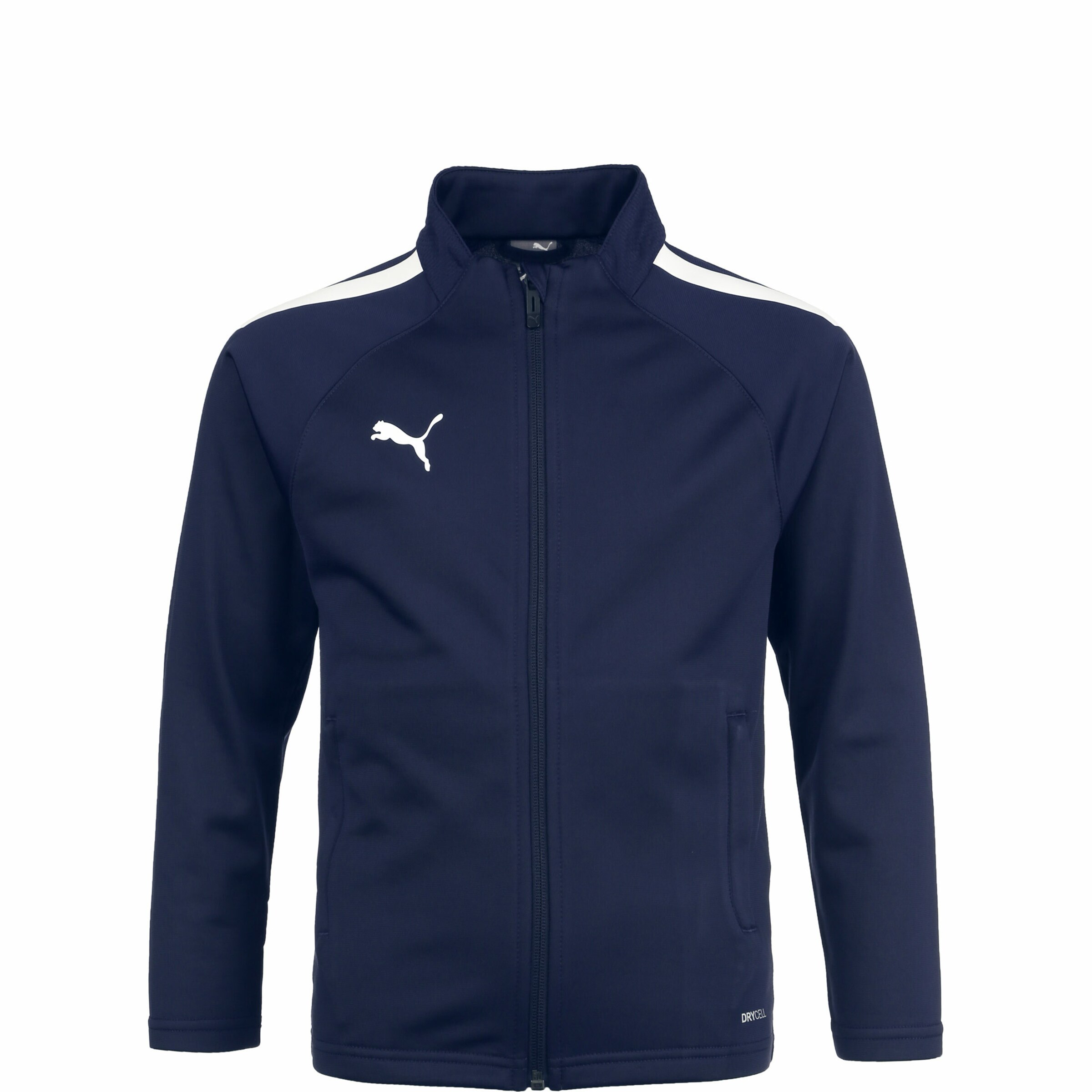 PUMA Sportjacke 'TeamLIGA' in Blau: Vorderseite