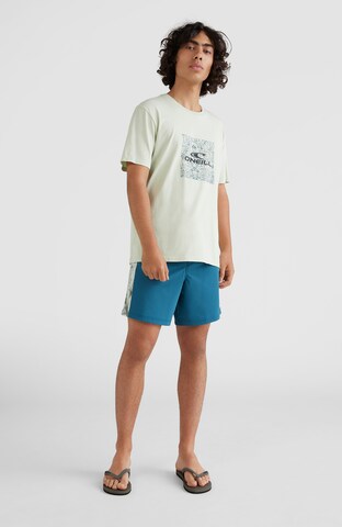 O'NEILL Badeshorts in Blau
