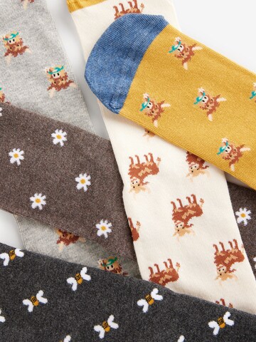 Chaussettes Next en mélange de couleurs