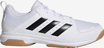 Chaussure de sport 'Ligra 7' ADIDAS PERFORMANCE en blanc