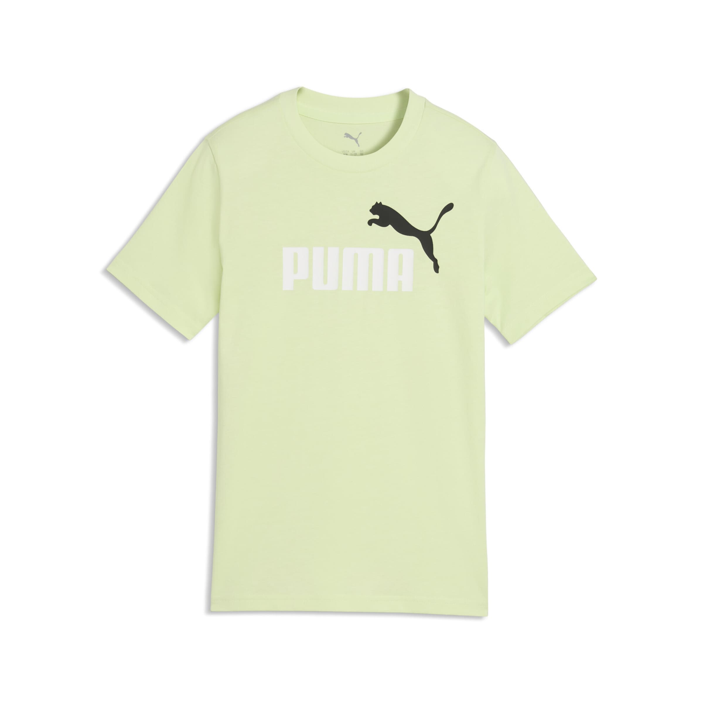 PUMA Shirt 'Essentials Colour No.1' in Green: front
