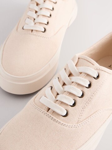 Baskets basses Next en beige