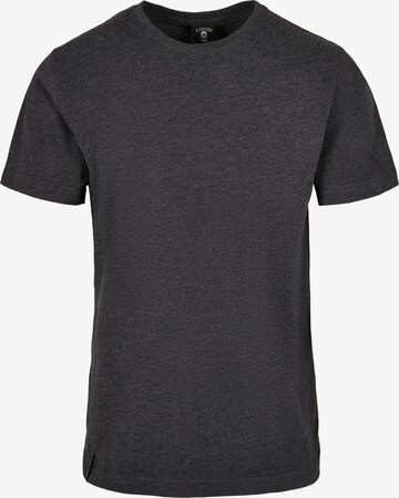 T-Shirt Cayler & Sons en gris : devant