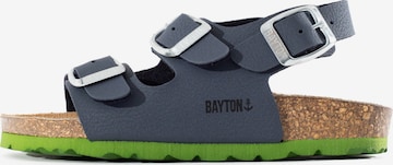 Bayton Avonaiset kengät 'Pegase' värissä harmaa: etupuoli