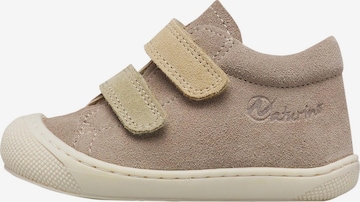 NATURINO Sneaker 'CORKEL' in Grau: Vorderseite