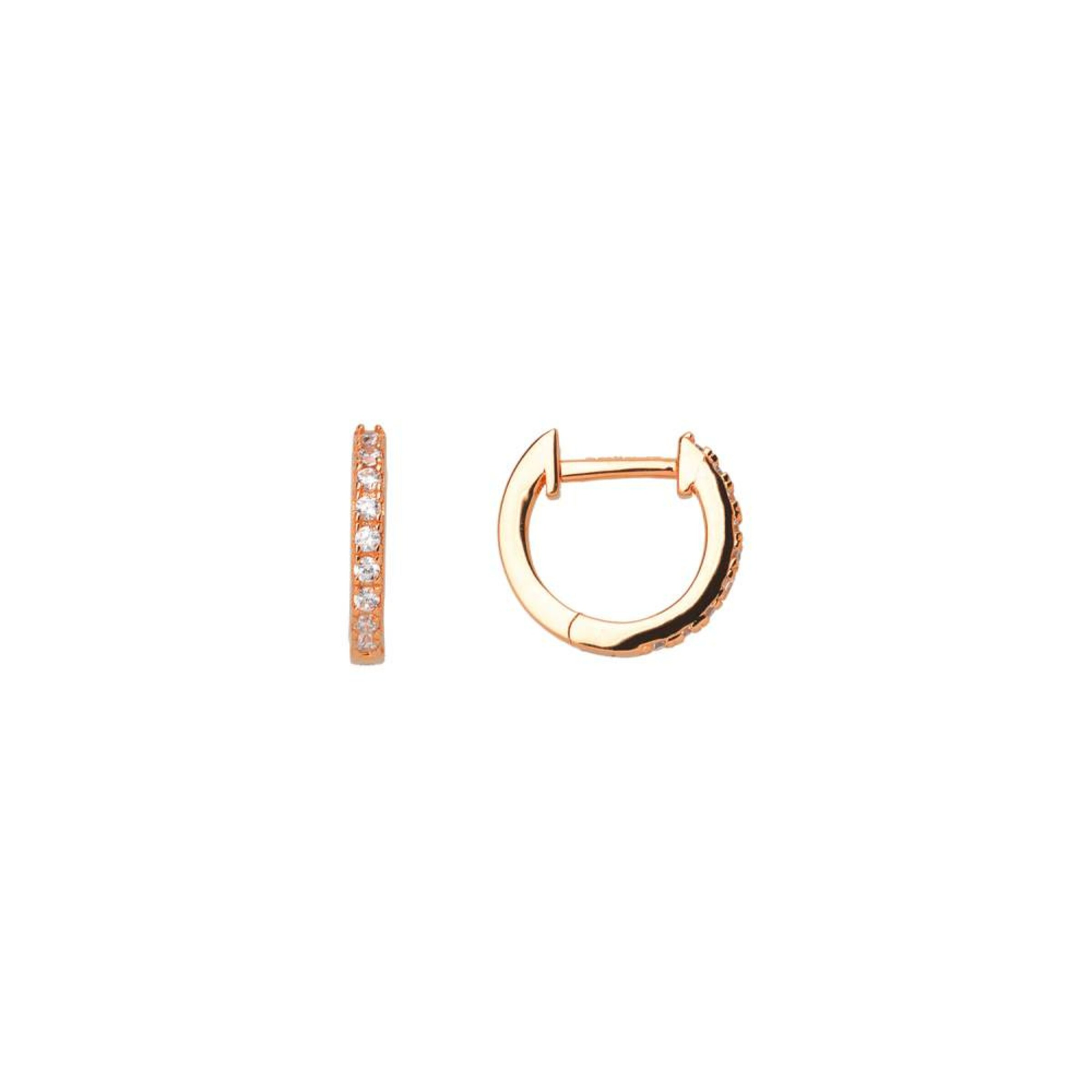 XENOX Earrings in Gold: front