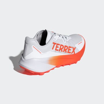 Chaussure de course 'Agravic 3' ADIDAS TERREX en blanc