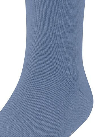 FALKE Socks 'Family' in Blue