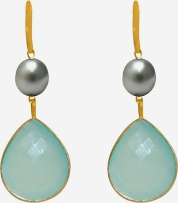 Gemshine Earrings in Gold: front