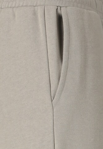 ENDURANCE Regular Trousers 'Evelyn jr.' in Grey