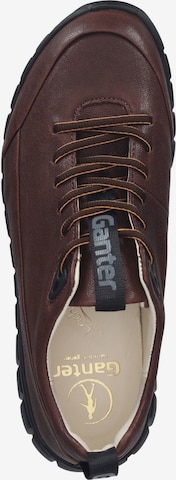 Ganter Sneaker in Braun