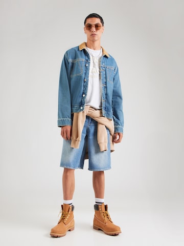 HOLLISTER Shirt in Grijs