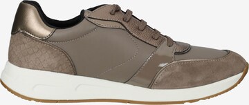 GEOX Sneaker in Braun