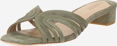 Lauren Ralph Lauren Ādas čības 'FAY', krāsa - zaļš, Preces skats