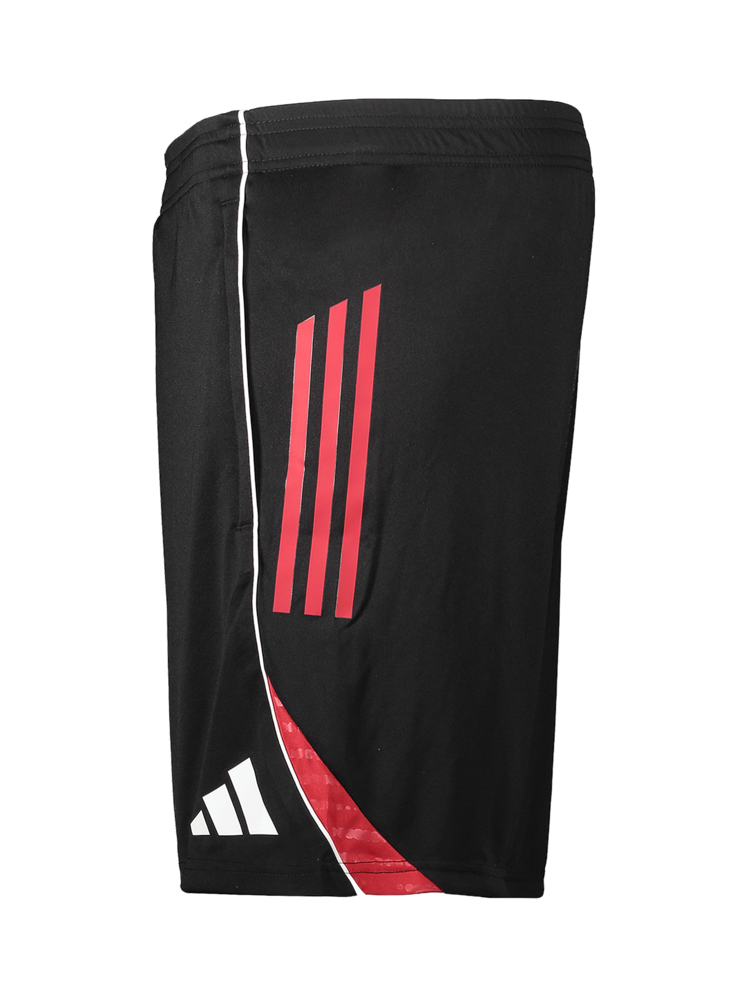 Regular Pantaloni sport 'FC Nürnberg' de la ADIDAS PERFORMANCE pe negru