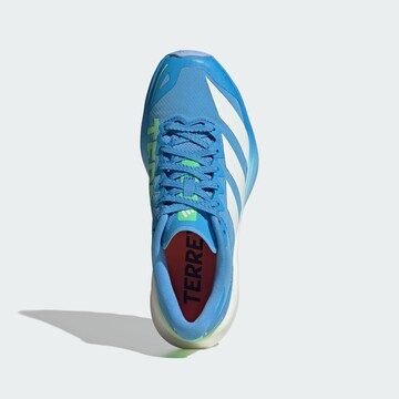 Chaussure basse 'Agravic 4 Trail Running' ADIDAS TERREX en bleu