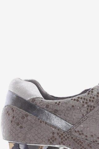 CAPRICE Sneakers & Trainers in 40 in Grey