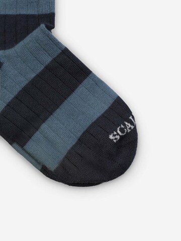 Chaussettes 'Rugby' Scalpers en bleu