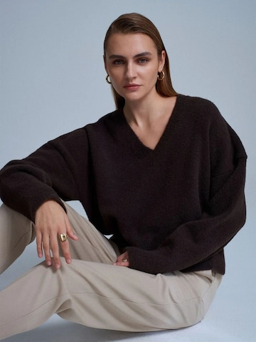 Dilvin Sweater 'Pullover' in Brown: front