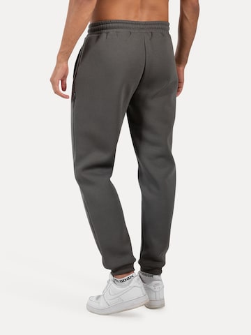 Effilé Pantalon Smilodox en gris