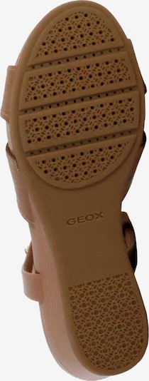 GEOX Sandale in 36 in brokat, Produktansicht