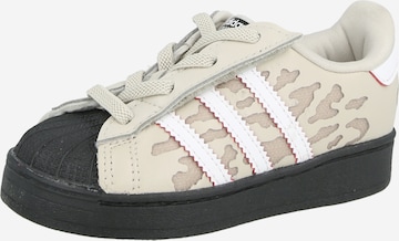 ADIDAS ORIGINALS Trainers 'SUPERSTAR' in Brown: front