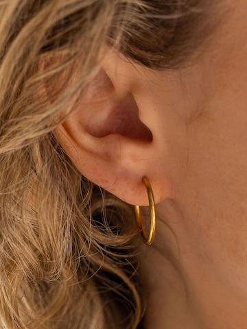 Boucles d'oreilles 'Sleeky' PURELEI en or : devant