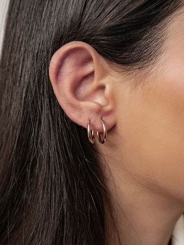 Hey Happiness Earrings 'Luna' in Gold