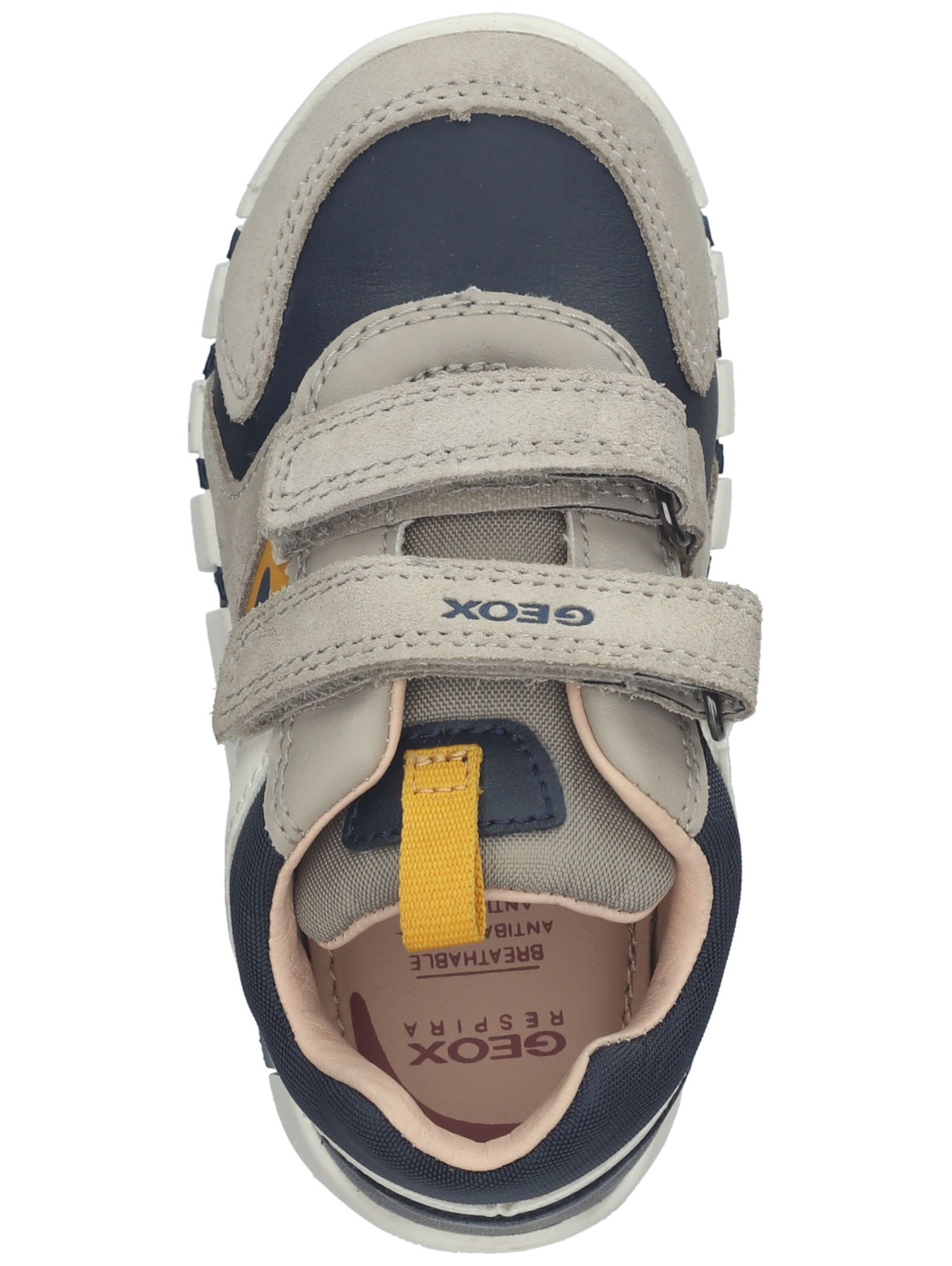 Baskets GEOX en beige