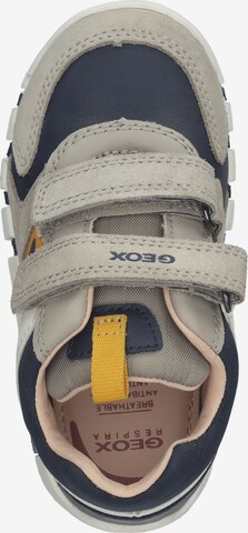 Sneaker di GEOX in beige